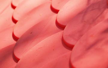 Kite Green plastic roof costs